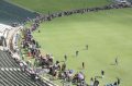 Jozi Crowds