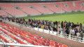 PE Stadium Line
